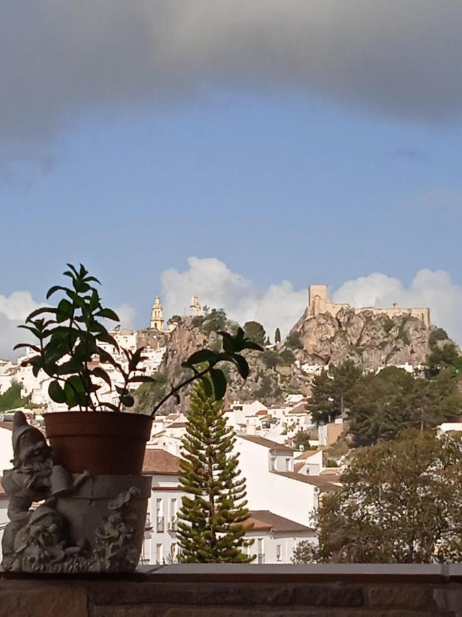 Los Girasoles Olvera Kültér fotó