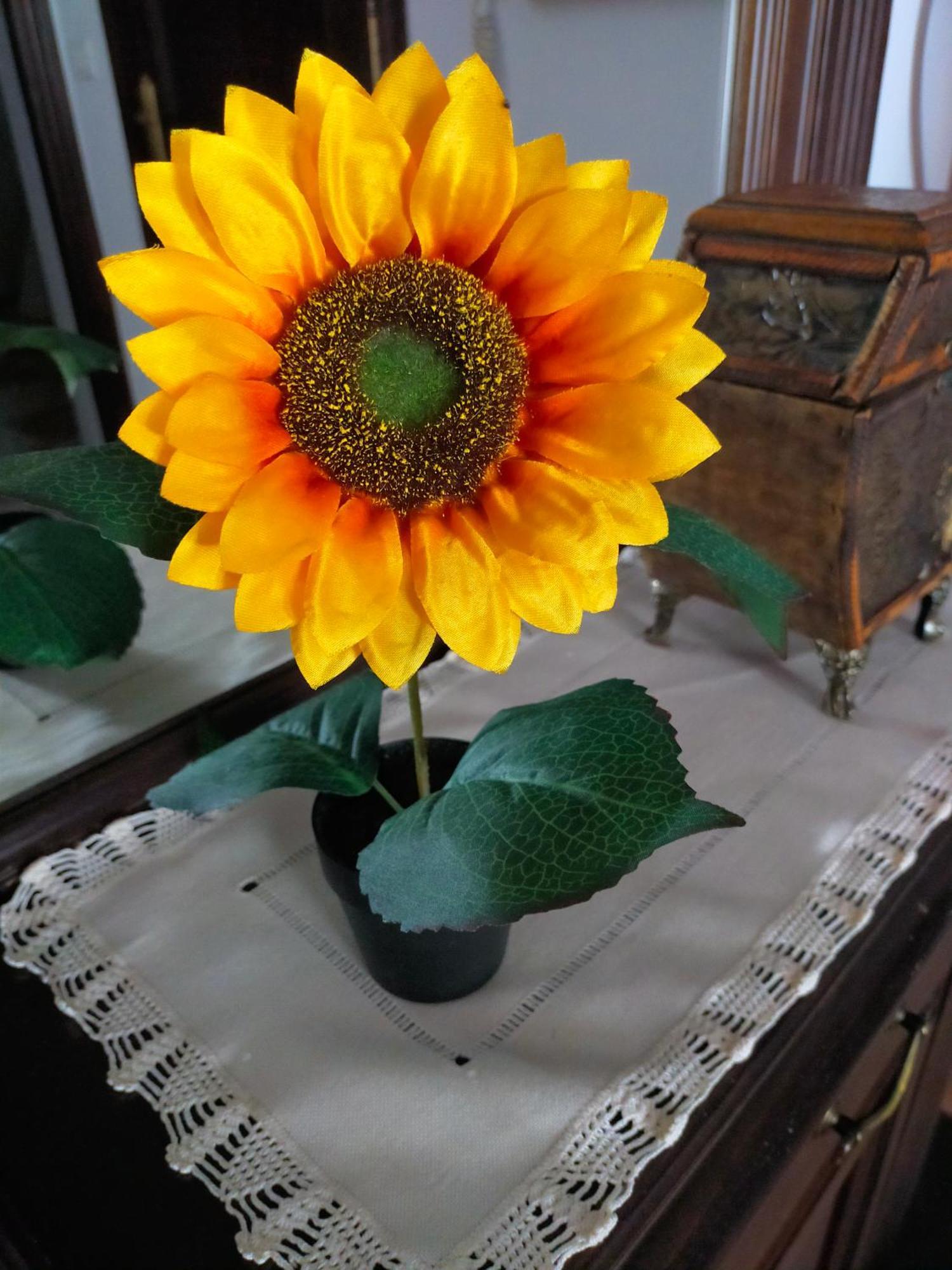 Los Girasoles Olvera Kültér fotó