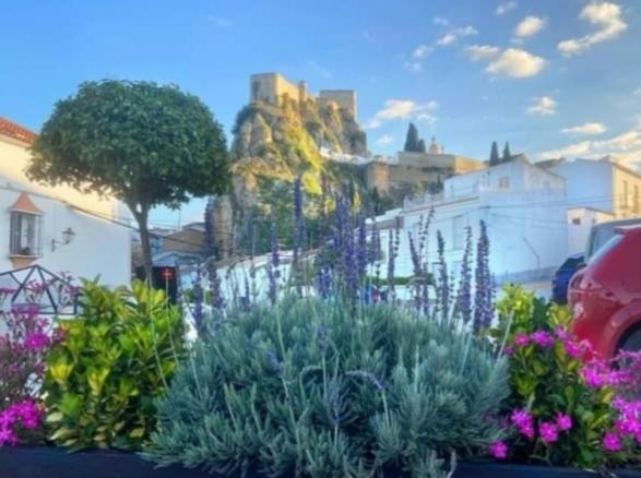 Los Girasoles Olvera Kültér fotó
